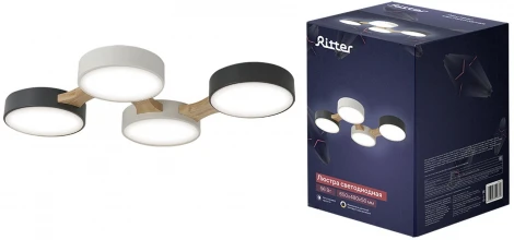 Потолочный светодиодный светильник Ritter Scandia 52071 9