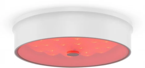 Потолочный светильник Freya Cells FR10011CL-L24W