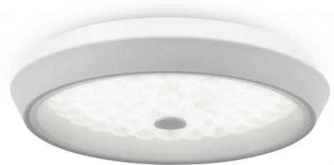 Потолочный светильник RGB круглый Freya Cells FR10012CL-L24W (LED, 220V, пульт управления, круглые)