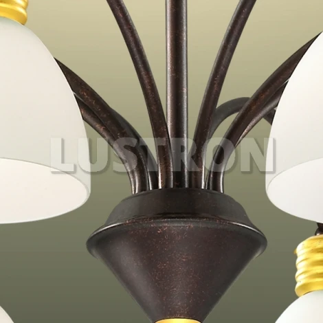 Потолочная люстра Odeon Light Tanais 2624/8C