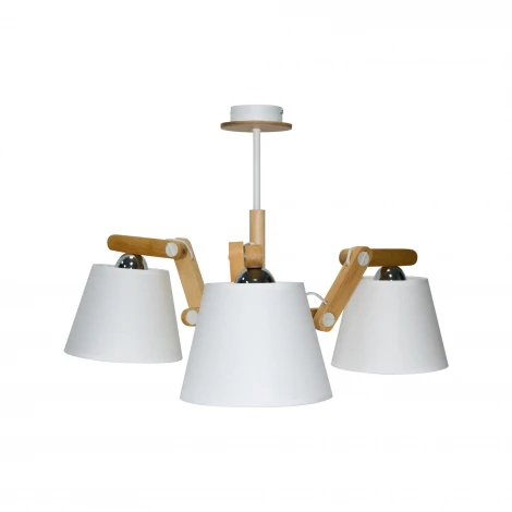 Потолочная люстра Дубравия Эктор 201-77-23-C