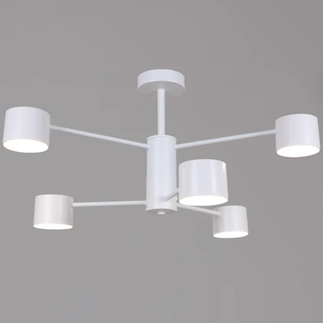 Потолочная люстра на штанге Reluce 47206-0.3-06WT