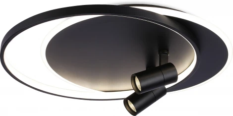 Настенно-потолочный светодиодный светильник с пультом Ambrella Comfort FL51393 (регулировка яркости, 220V, круглые)