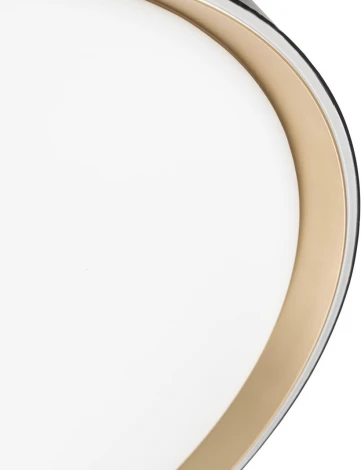 Потолочный светильник RGB круглый светодиодный с пультом Citilux Boss CL751451G (220V, круглые)