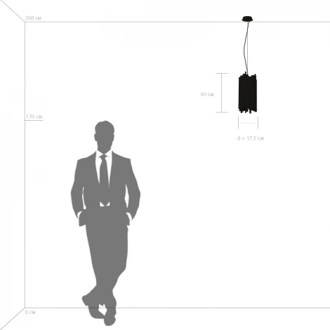 Подвесной светильник Lightstar Savona 816022 (220V, на тросе, круглые)