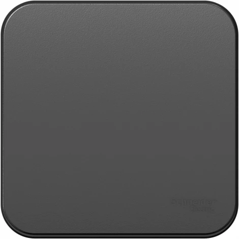 Выключатель накладной одноклавишный (антрацит) Systeme Electric Blanca BLNVA106016