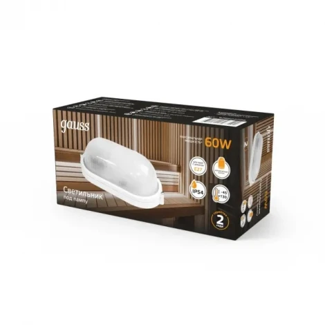 Настенно-потолочный светильник Gauss НБП 926602206 (IP54)