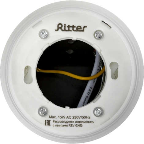 Накладной светильник Ritter Arton 59948 7