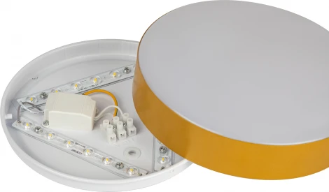 Потолочный светильник светодиодный ЭРА Relict 22 SPB-6-20 4К MG