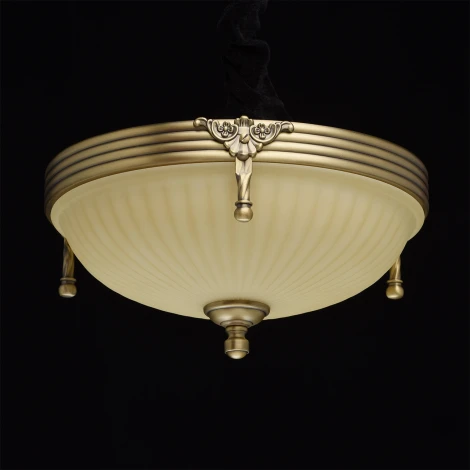 Потолочный светильник круглый MW-Light Афродита 317011202 (220V)