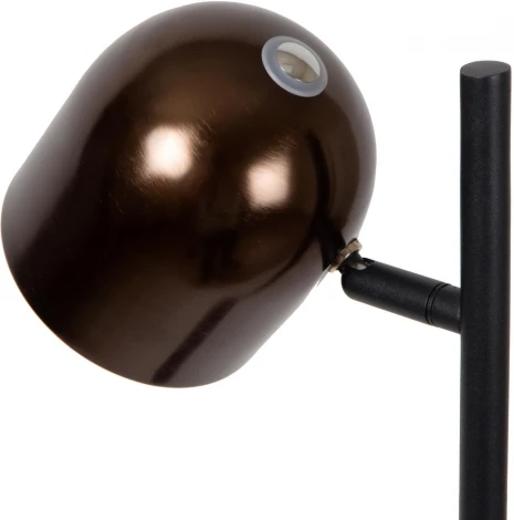 Торшер Lucide Skanska Rech 03749/03/96 (LED, 220V, IP44)