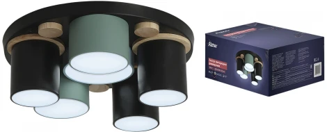 Потолочный светодиодный светильник с ДУ Ritter Scandia 52075 7