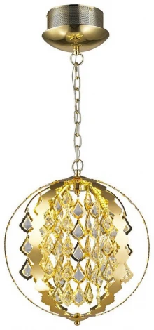 Подвесной светодиодный светильник Selena WE432.06.303 (220V, на цепи, кольцо)