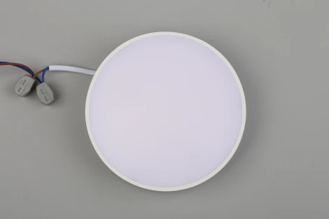 Потолочный светильник круглый Aployt Evon APL.0113.09.18 (LED, 220V, круглые)