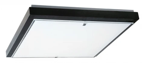 Настенно-потолочный светильник Дубравия Полина 106-41-24/3