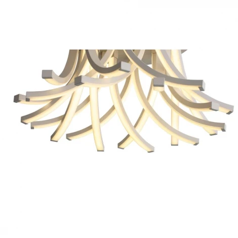 Потолочная люстра ST Luce Filiali SL827.502.20