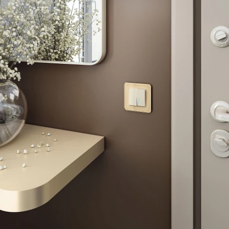 Рамка на 1 пост Elite (айвори, стекло) Werkel W0012443 (a057882)