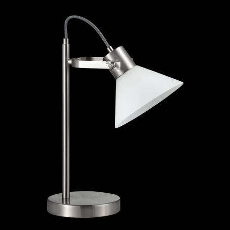 Интерьерная настольная лампа Lumion Effi 3707/1T