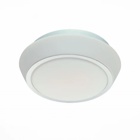 Настенно-потолочный светильник ST Luce Bagno SL496.502.01