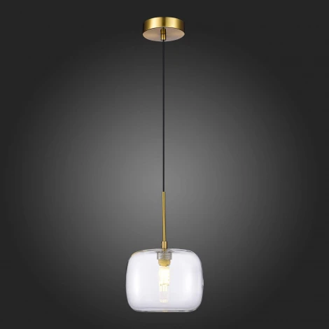Подвесной светильник ST Luce Finn SL1049.303.01