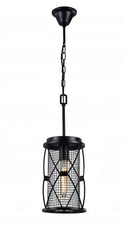 Подвесная люстра Favourite Mesh 1783-1P (220V, на цепи)