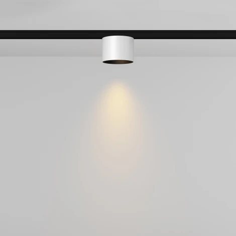 Трековый светильник магнитный 5W 24V Maytoni Alfa S TR188-1-5W2.7K-M-BW (LED, круглые)