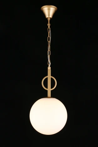 Подвесной светильник Aployt Gracia APL.751.06.01 (220V, на цепи, шар)