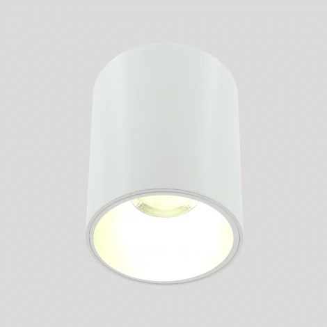 Накладной светильник Lightera Shamrock LE201CL-1WA (LED, 220V, круглые)