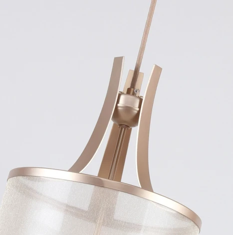 Подвесной светильник Favourite Himiko 2551-1P (220V, на проводе, круглые)