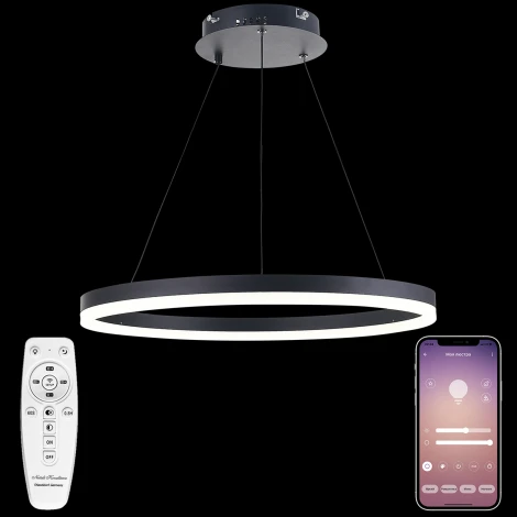 Подвесной светильник Natali Kovaltseva LED LAMPS 81295 (регулировка яркости, 220V, пульт управления, на тросе, кольцо)