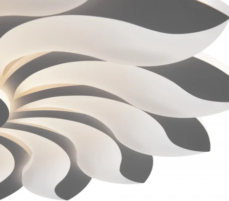 Потолочная люстра Freya Cameron FR10023CL-L127W