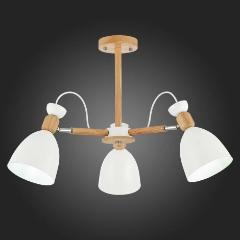 Потолочная люстра Evoluce Balcamo SLE103802-03 (220V)