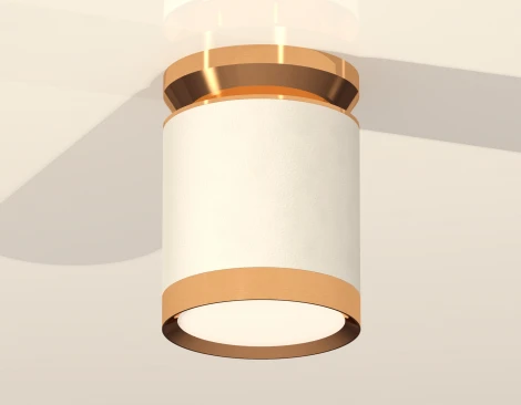 Накладной точечный светильник Ambrella Techno Spot XS8141030 (220V, круглые)