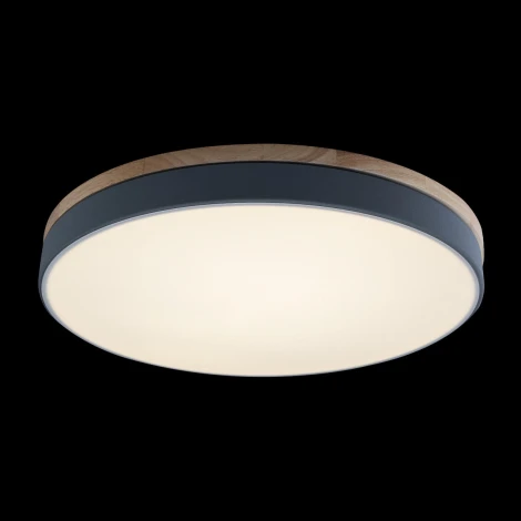 Потолочный светильник круглый Loft IT Axel 10001/36 Grey (LED, 220V, круглые)