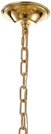 Подвесная люстра Favourite Intera 2983-13P