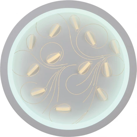 Потолочный светильник круглый Мелодия Света SS1L 000023449