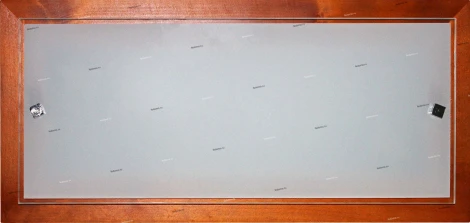 Настенно-потолочный светильник Дубравия Полина 199-21-22