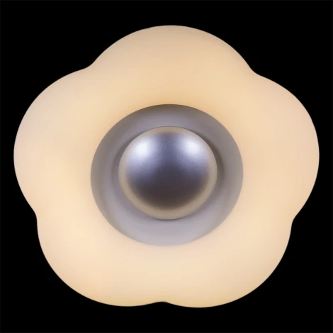 Потолочный светильник светодиодный с пультом Reluce 01014-0.3-01 GD