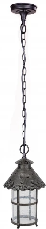 Уличный светильник подвесной Oasis Light CAIOR 1 81505 R (220V, на цепи, фонарь, IP44)