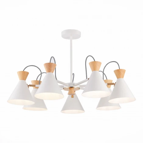 Потолочная люстра на штанге Evoluce Modica SLE125102-07 (220V)