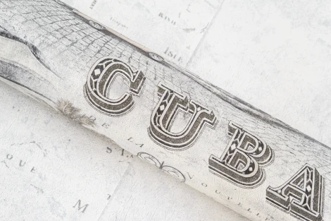 Обои виниловые Артекс Nature Inspiration 10229-03 10,05 x 1,06 м