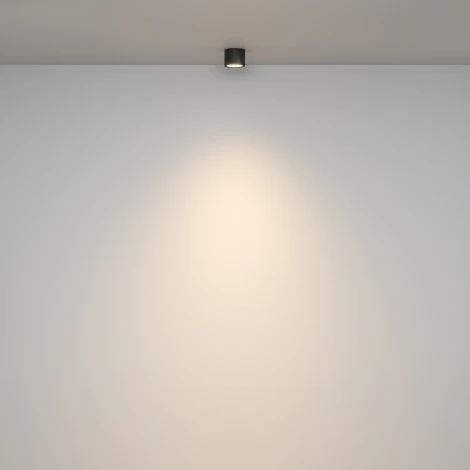 Накладной потолочный светильник Maytoni Rendo C095CL-GX53-B (220V, круглые, IP44)