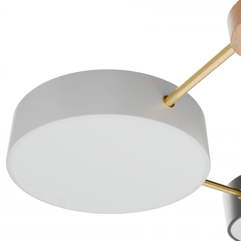 Потолочный светильник светодиодный круглый Lightera Tizzo LE239PL-3WG