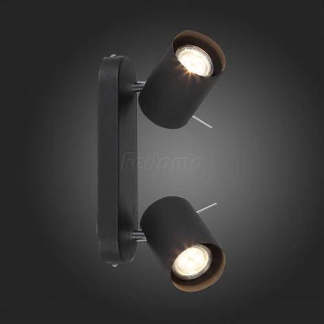 Спот ST Luce Fanale SL597.401.02 (220V, круглые)