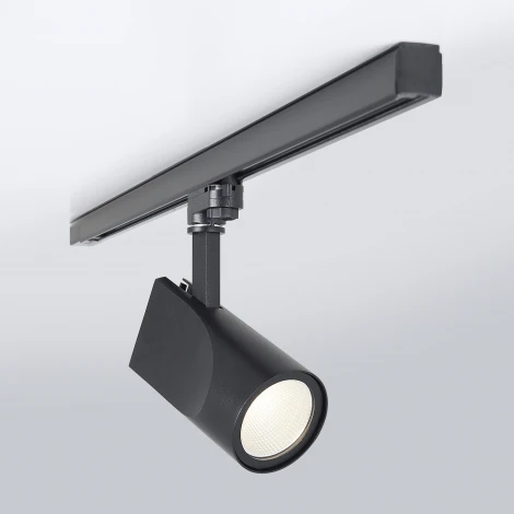 Трековый светильник Elektrostandard LTB15