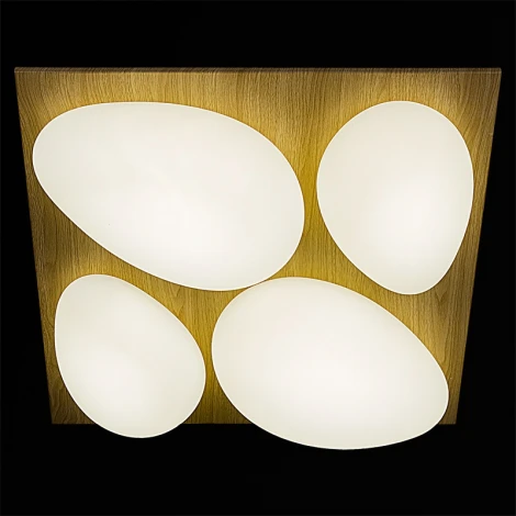 Потолочный светильник светодиодный с пультом регулировкой цветовой температуры и яркости Reluce 10010-0.3-80W AEROLITE (220V)