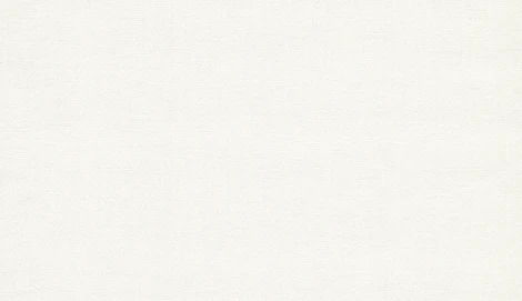 Обои виниловые Marburg Project 31721 10,05 x 0,53 м