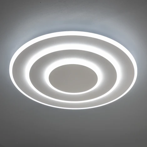 Потолочная люстра светодиодная с ДУ Ritter Galassia 51580 1