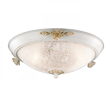 Настенно-потолочный светильник Odeon Light Bone 2692/3C