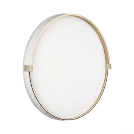 Настенно-потолочный светильник Sonex Olidi White 7646/ELN пластик/золотой LED 76Вт 3000/4000/6000К D490 IP43